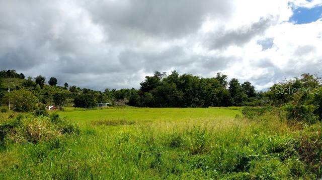 CAMUY — foto 2