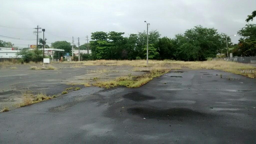 CAROLINA — foto 2