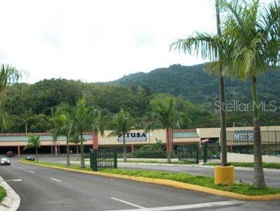 ADJUNTAS