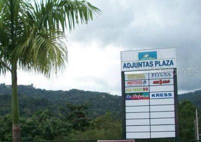 ADJUNTAS — foto 2