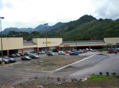 ADJUNTAS — foto 4