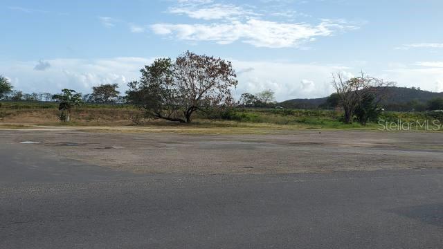 JUANA DIAZ — foto 4