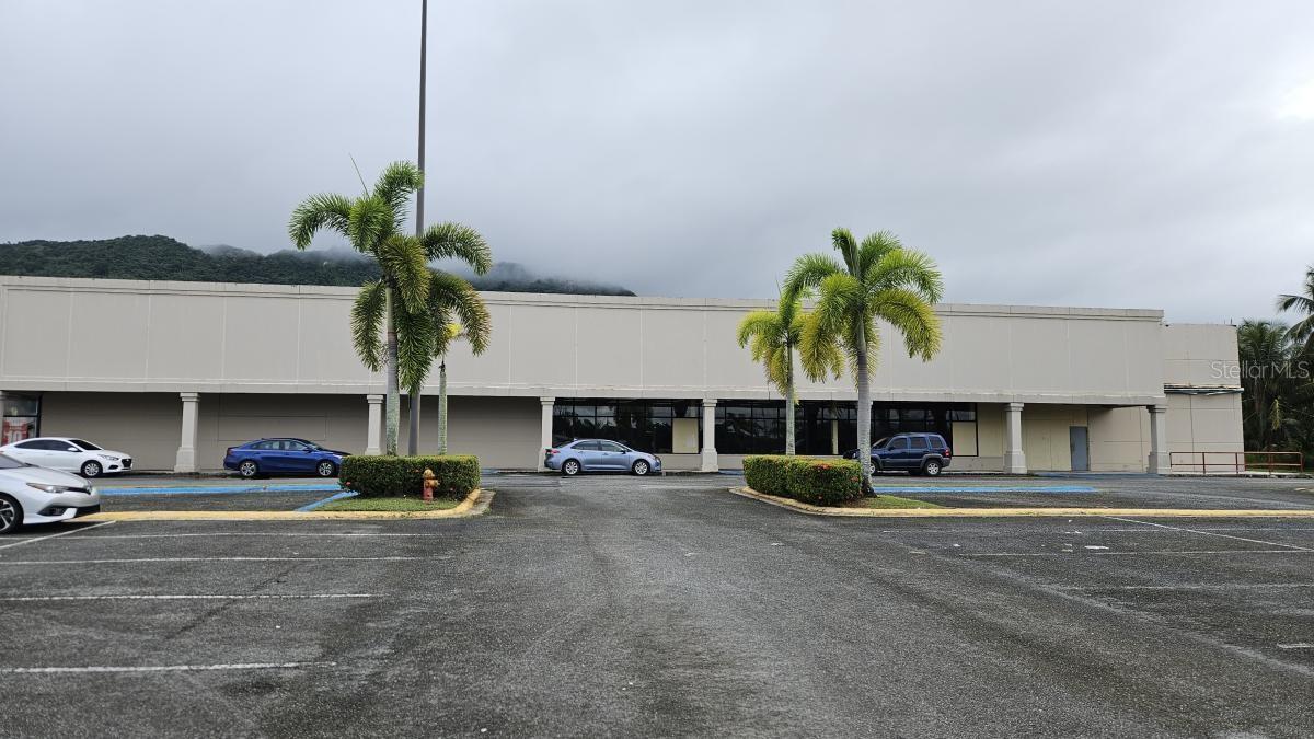 YABUCOA — foto 3