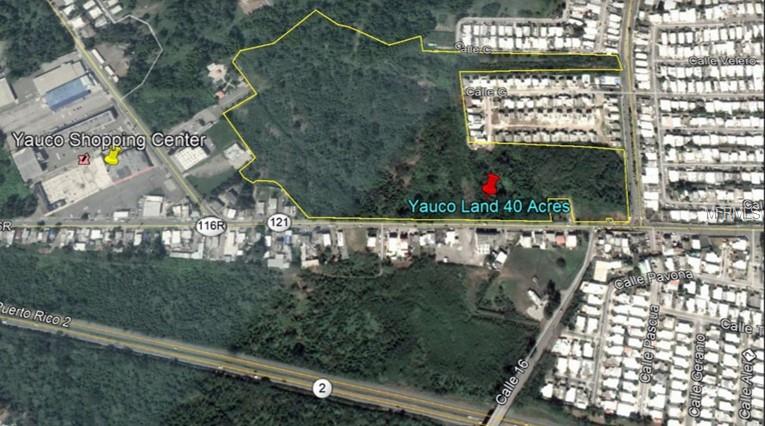 YAUCO