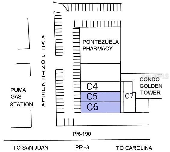 CAROLINA — foto 4