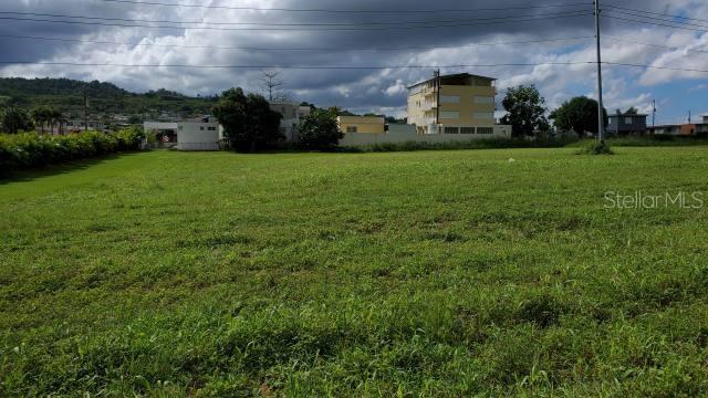 BAYAMON — foto 3