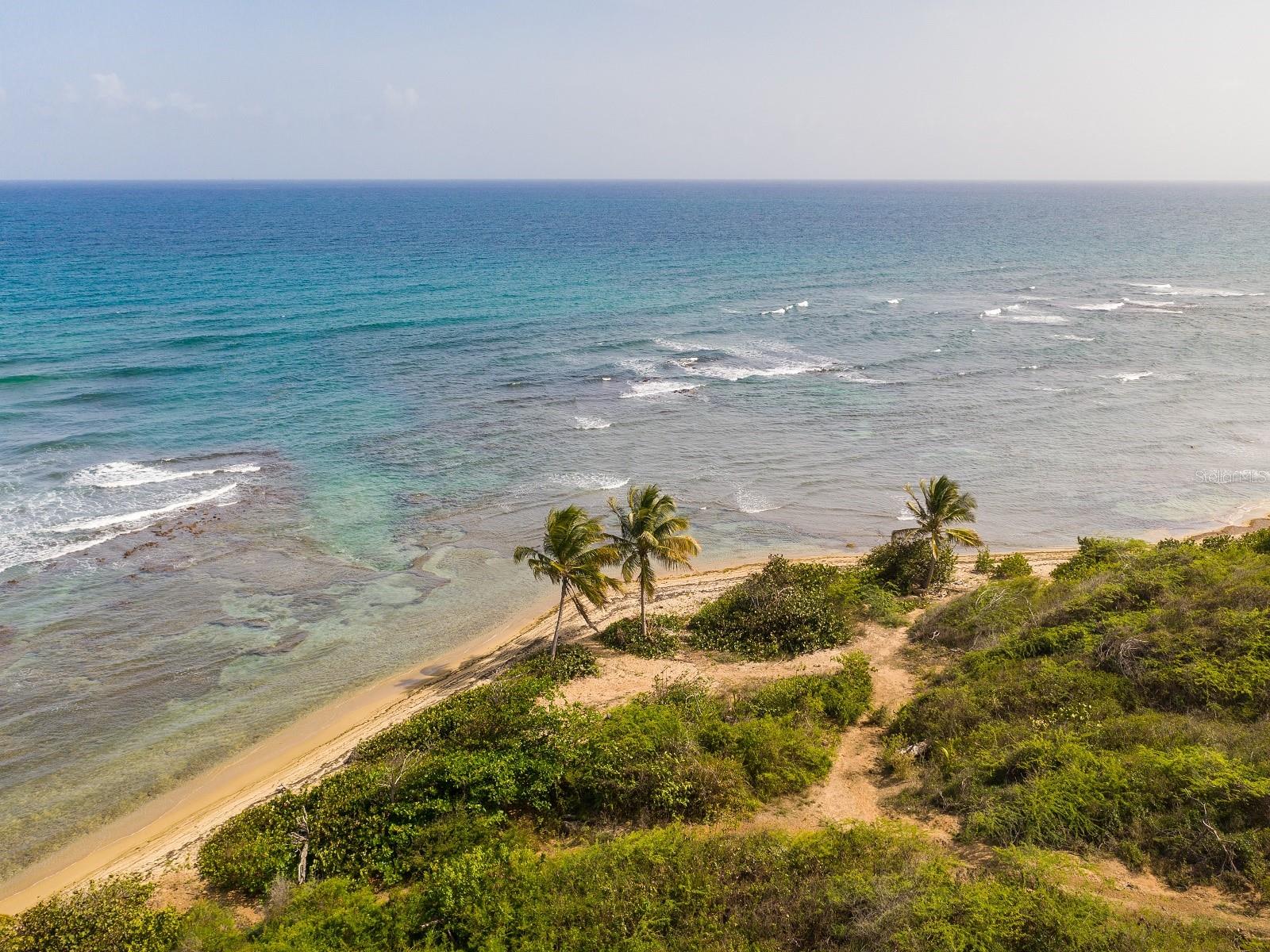 VIEQUES