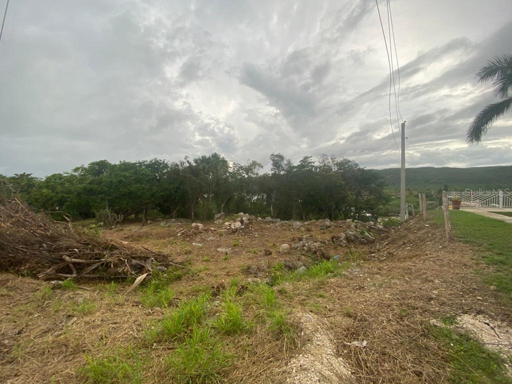 GUANICA