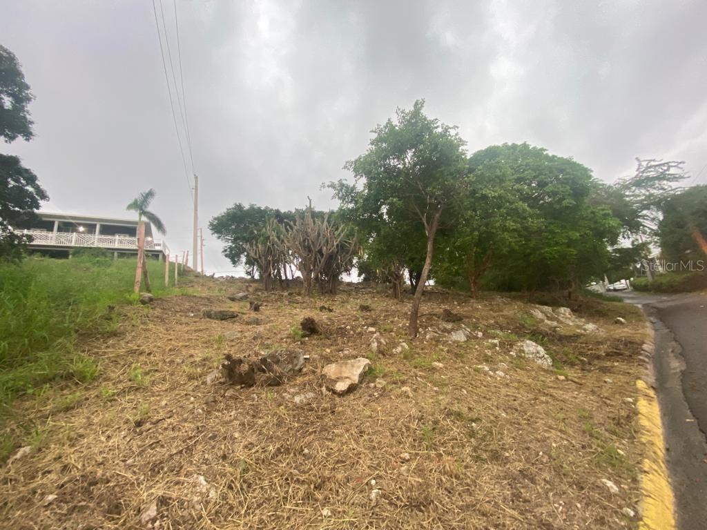 GUANICA — foto 12