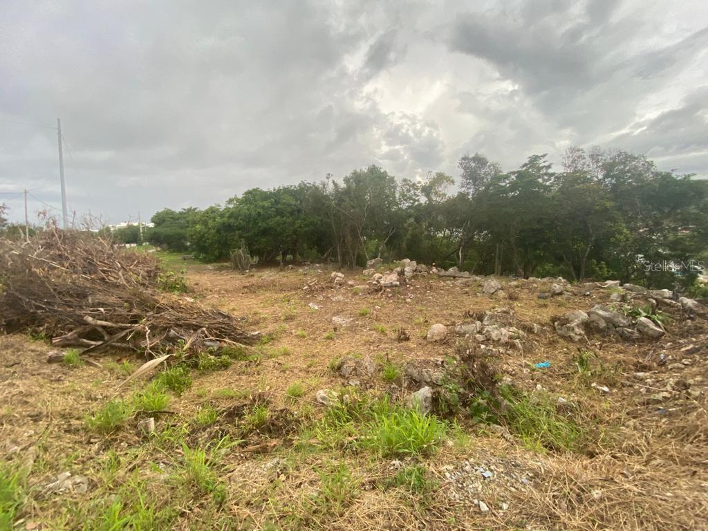GUANICA — foto 3