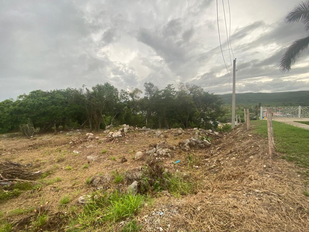 GUANICA — foto 4