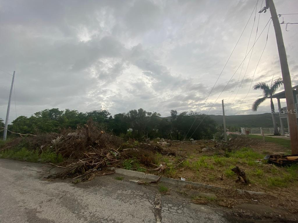 GUANICA — foto 5