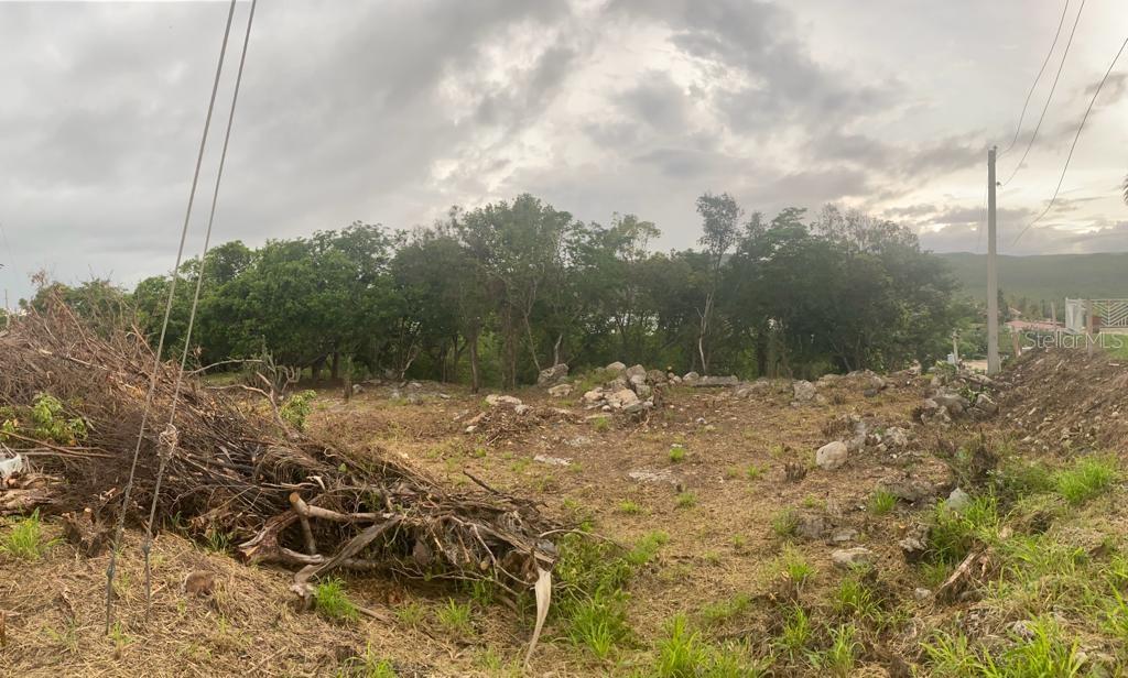 GUANICA — foto 7