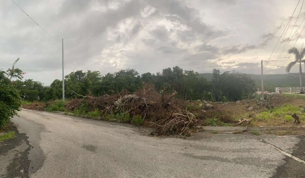 GUANICA — foto 8