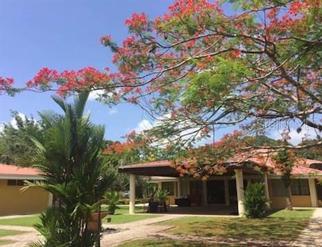 GUAYNABO