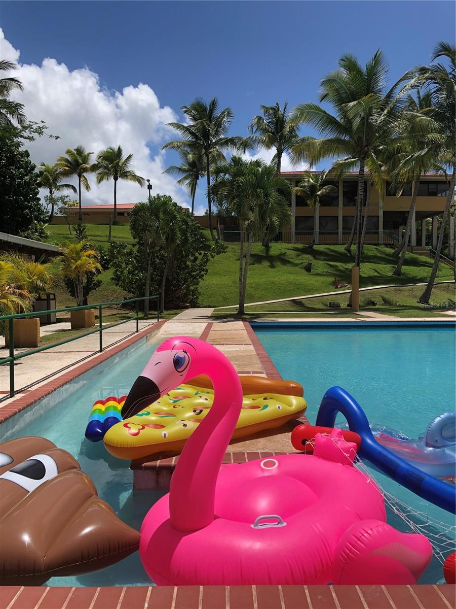 GUAYNABO — foto 12