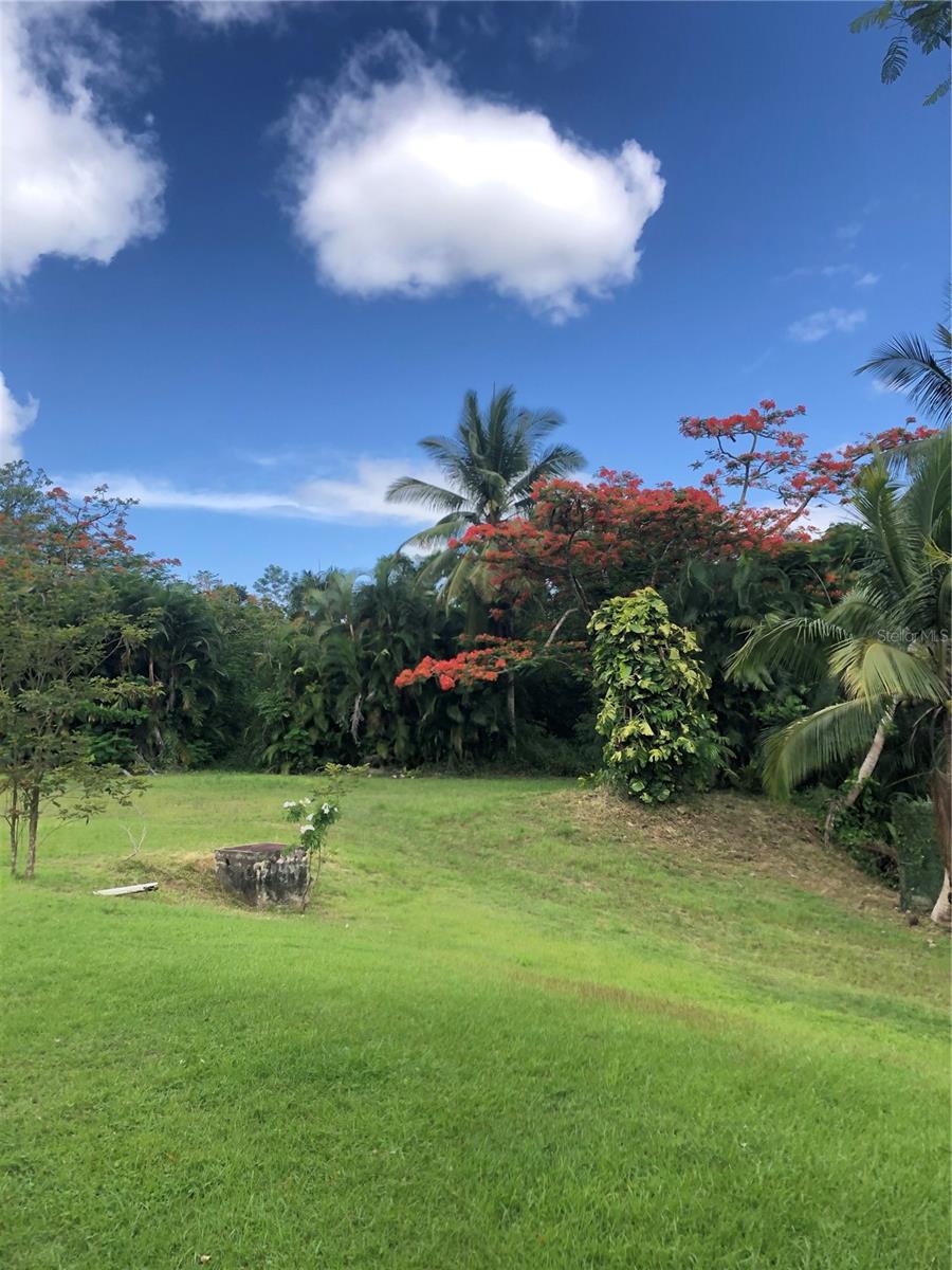 GUAYNABO — foto 6