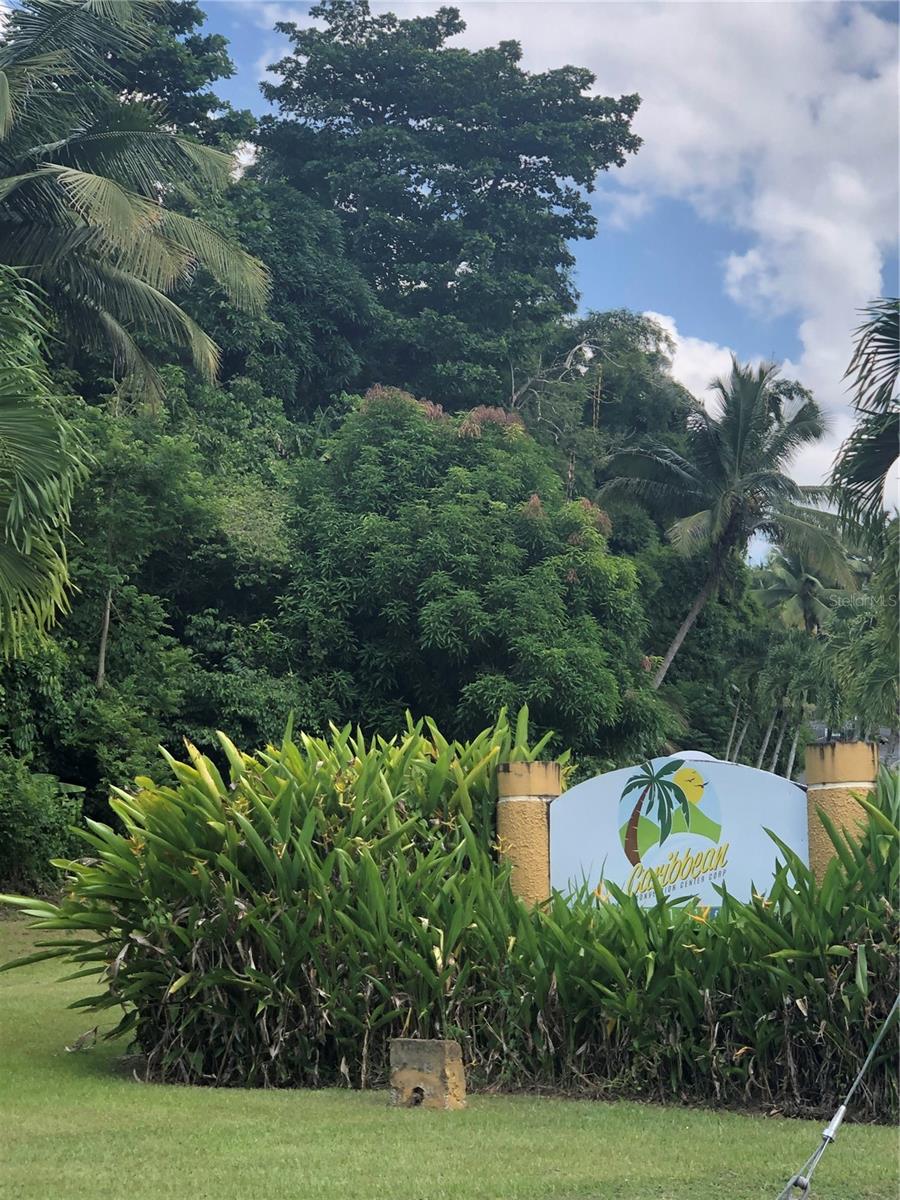 GUAYNABO — foto 10