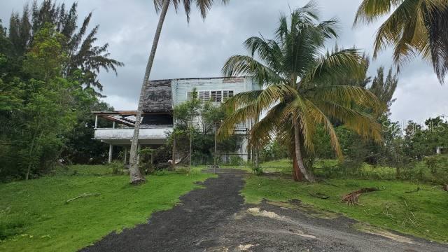 VEGA ALTA — foto 3