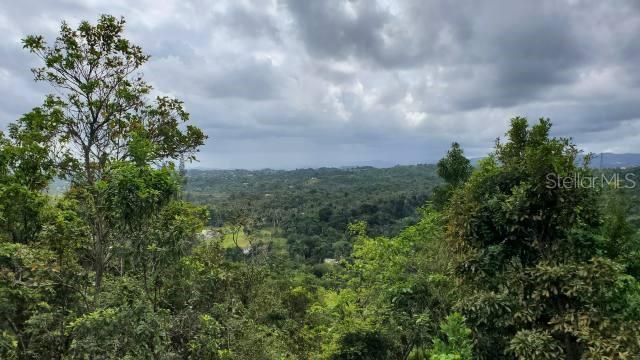 VEGA ALTA — foto 4