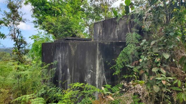 VEGA ALTA — foto 6