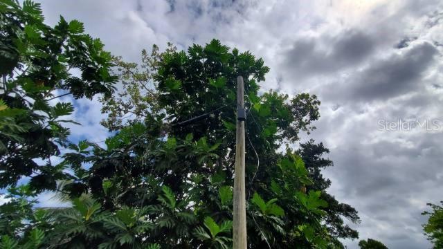 VEGA ALTA — foto 7