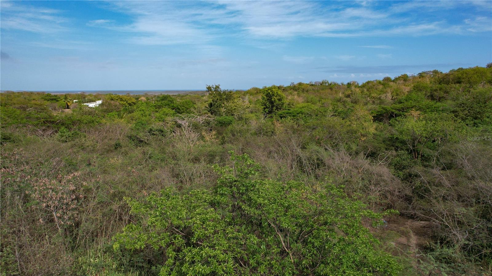 VIEQUES