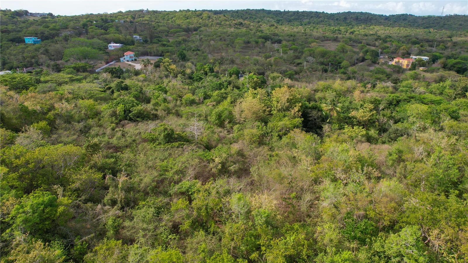 VIEQUES — foto 2