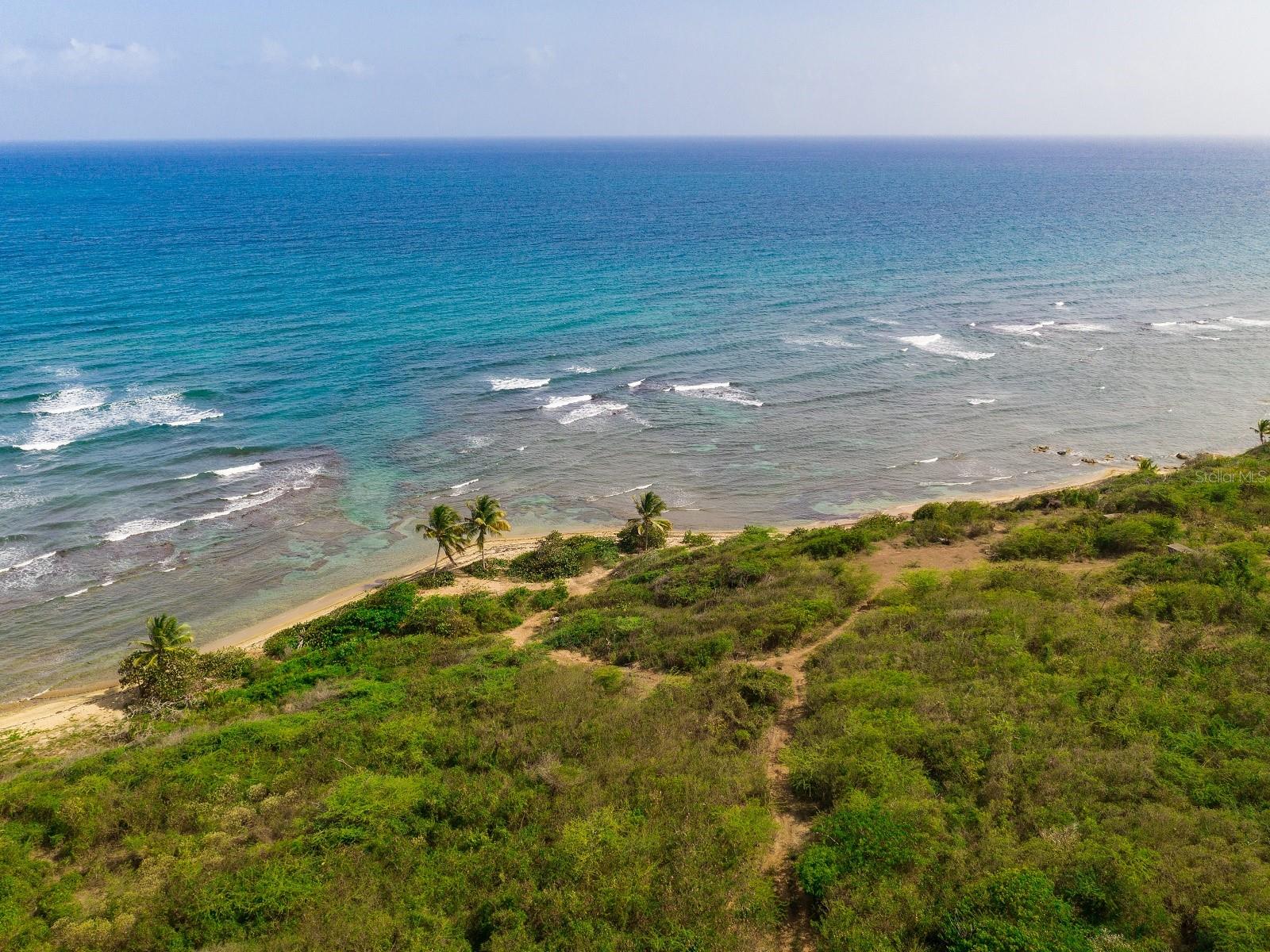 VIEQUES