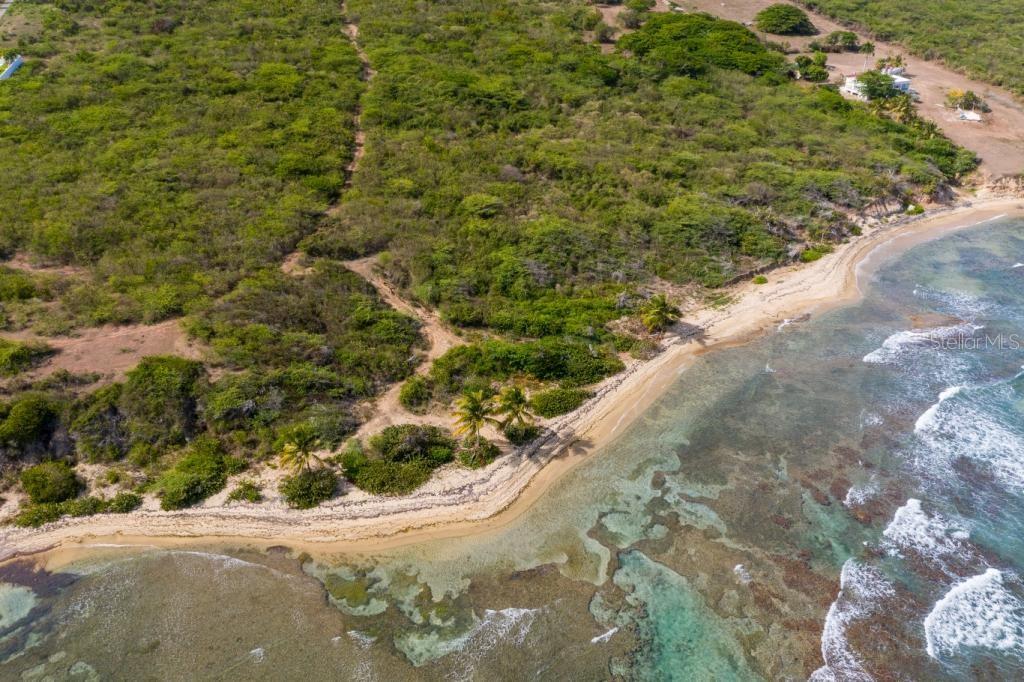 VIEQUES — foto 9