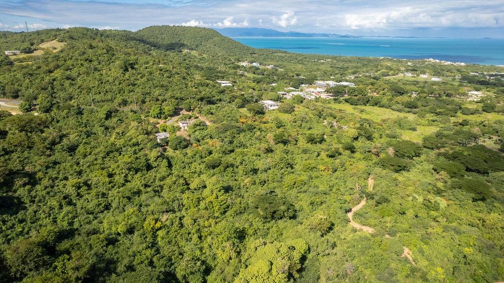 VIEQUES — foto 2