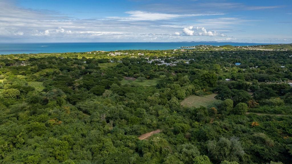 VIEQUES — foto 11
