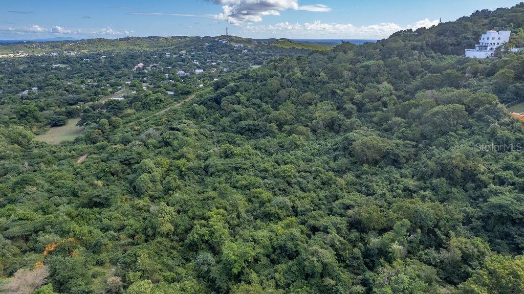 VIEQUES — foto 12