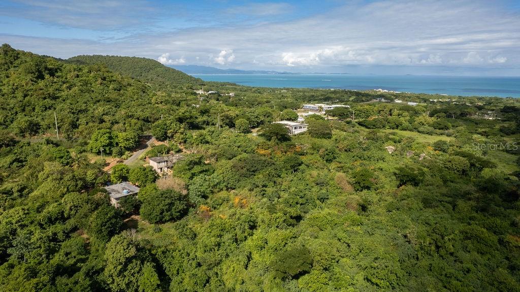 VIEQUES — foto 4