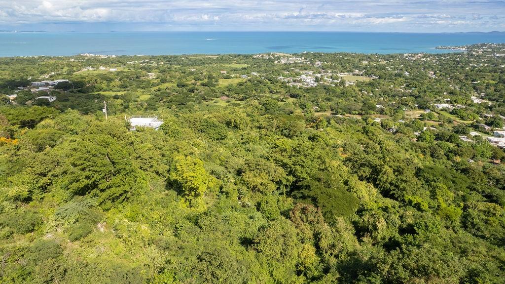 VIEQUES — foto 5