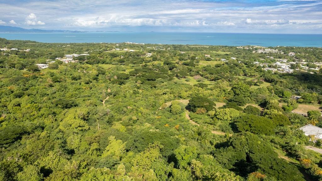 VIEQUES — foto 6