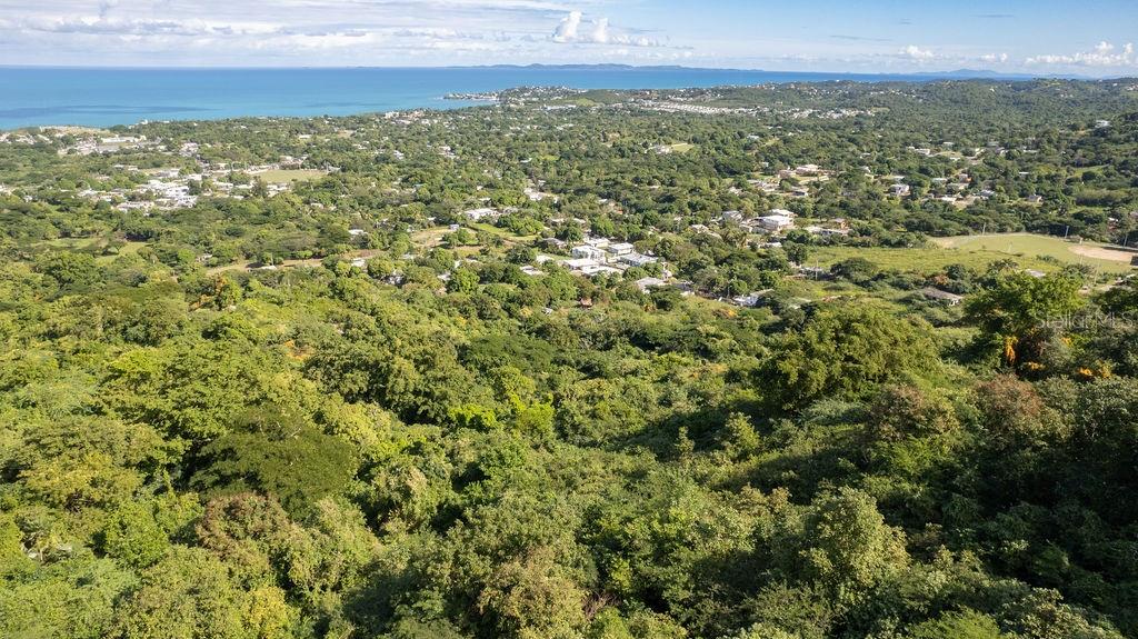 VIEQUES — foto 7