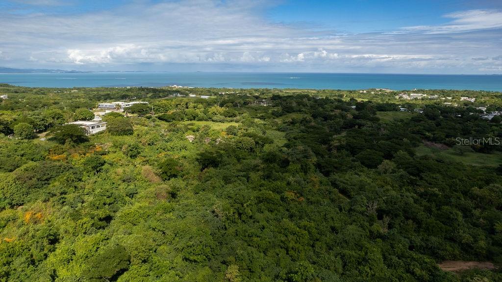 VIEQUES — foto 10