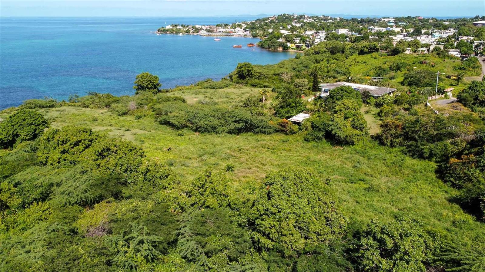 VIEQUES