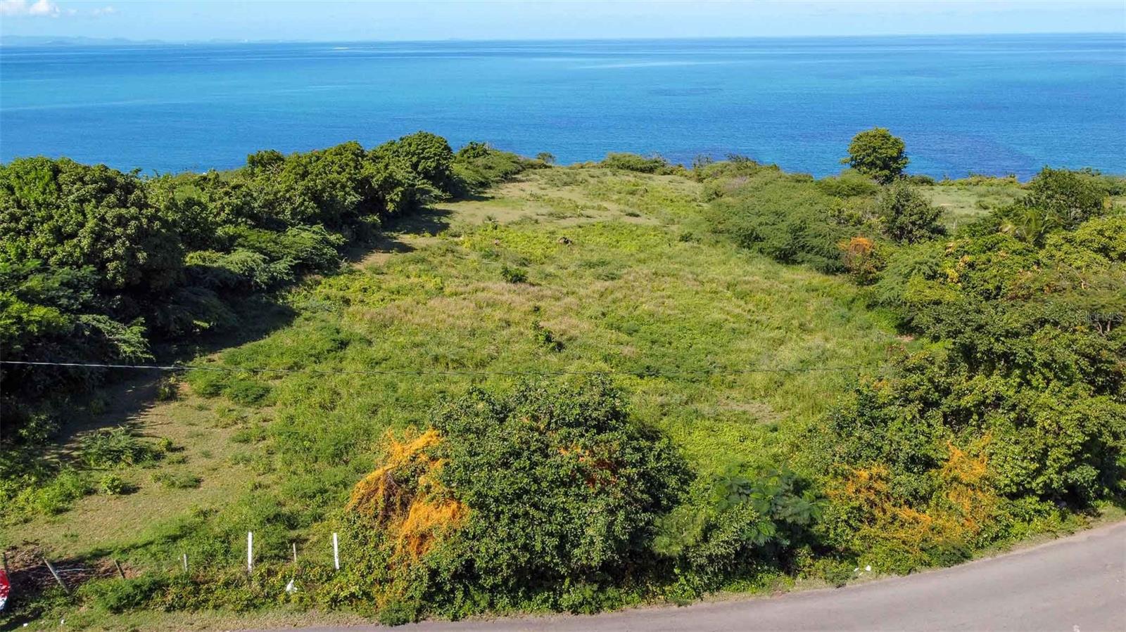 VIEQUES — foto 4