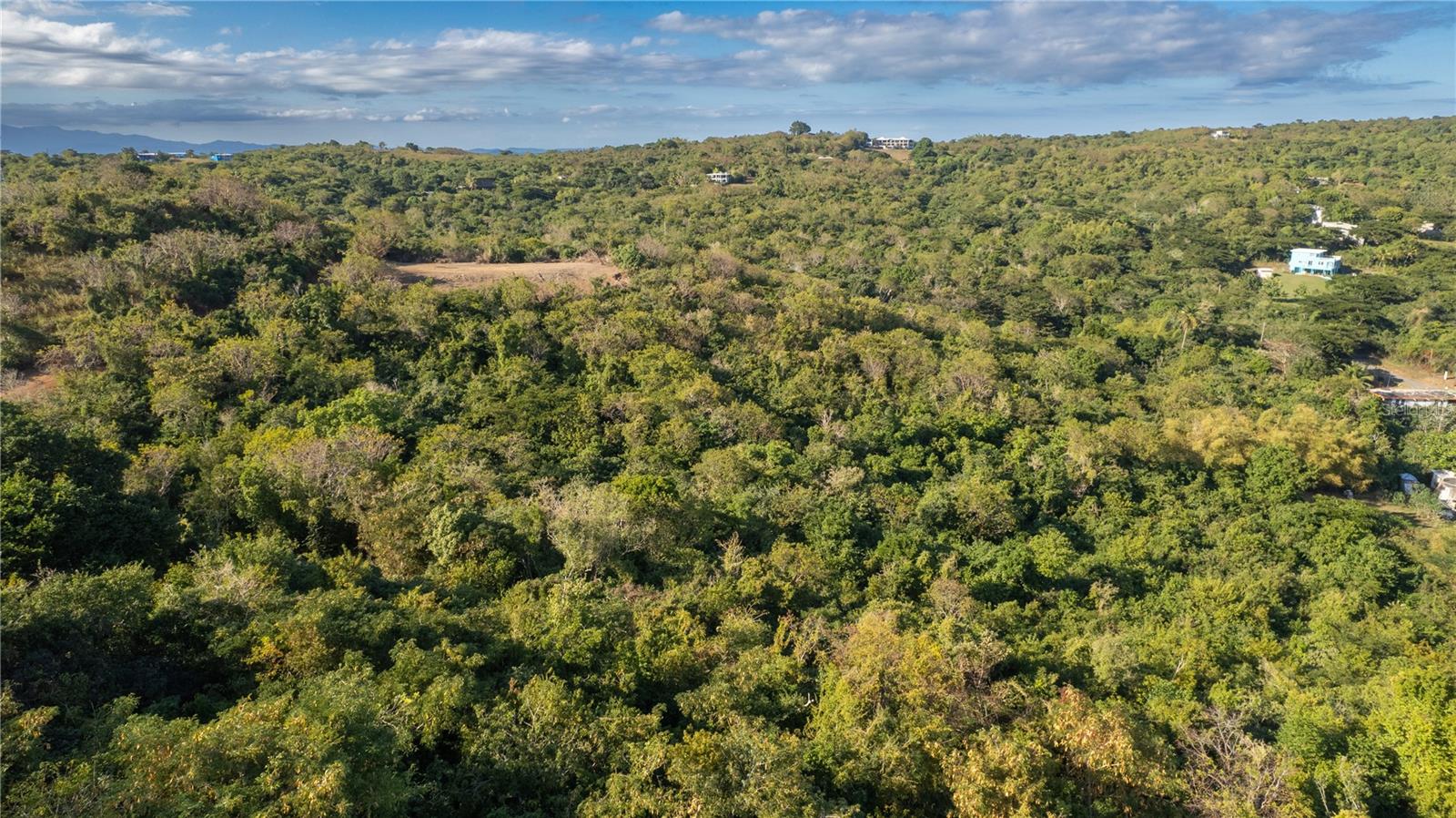 VIEQUES — foto 6