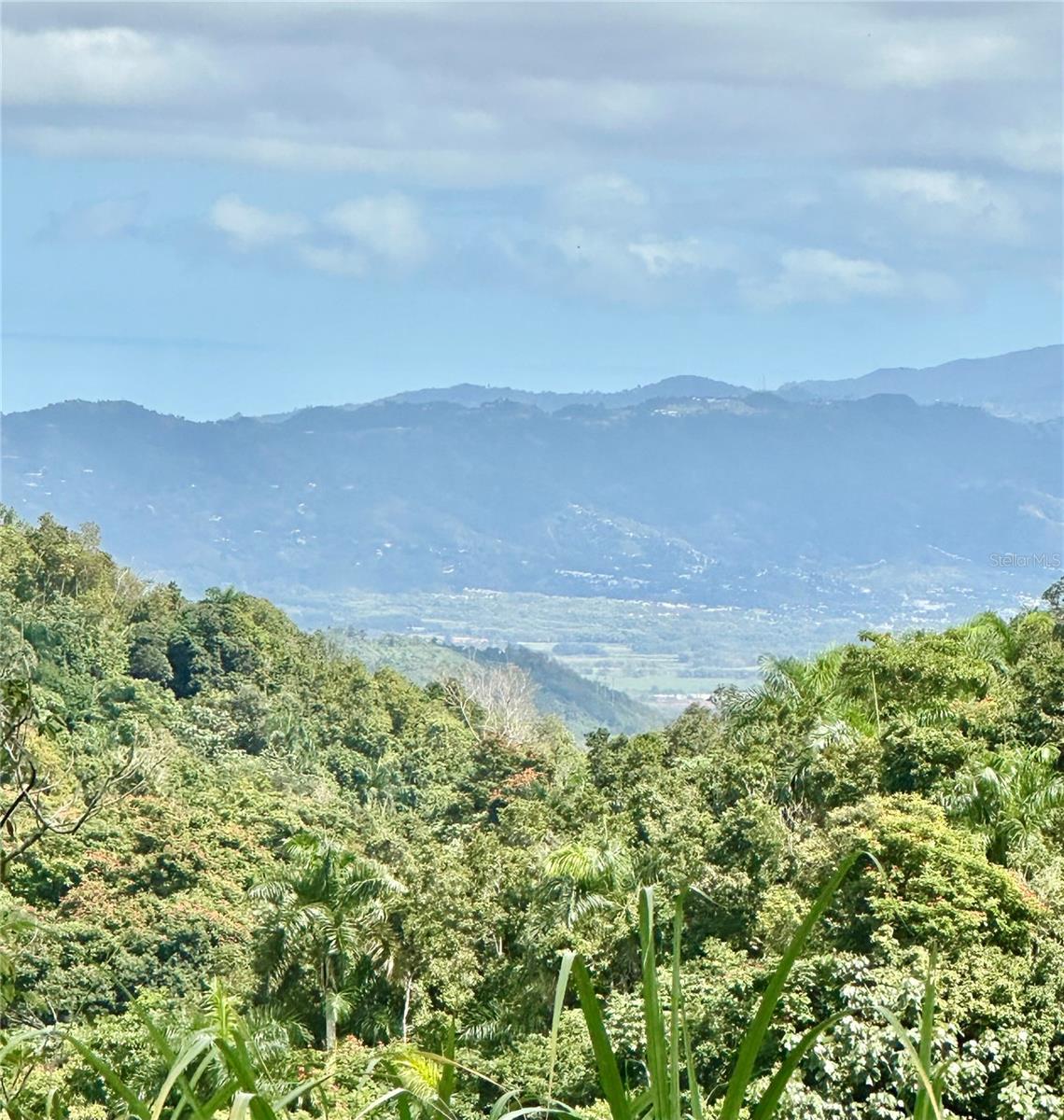AGUAS BUENAS