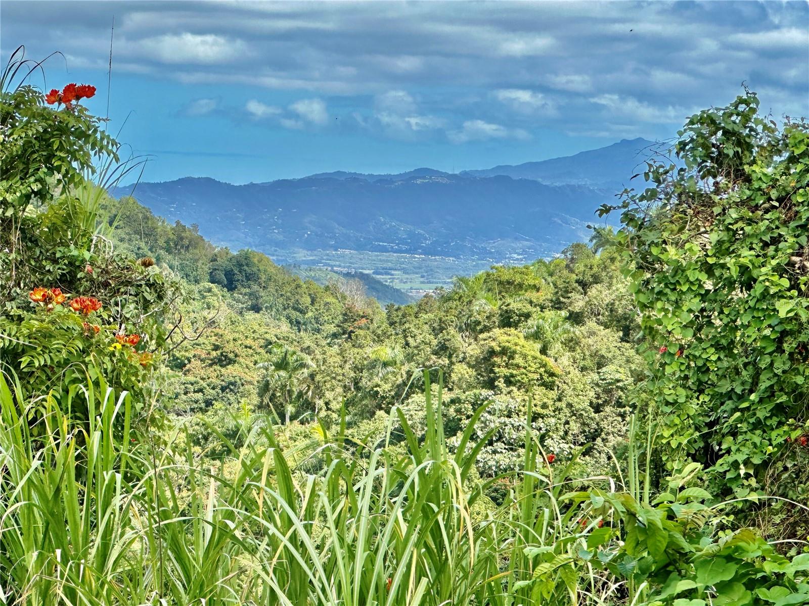 AGUAS BUENAS — foto 2
