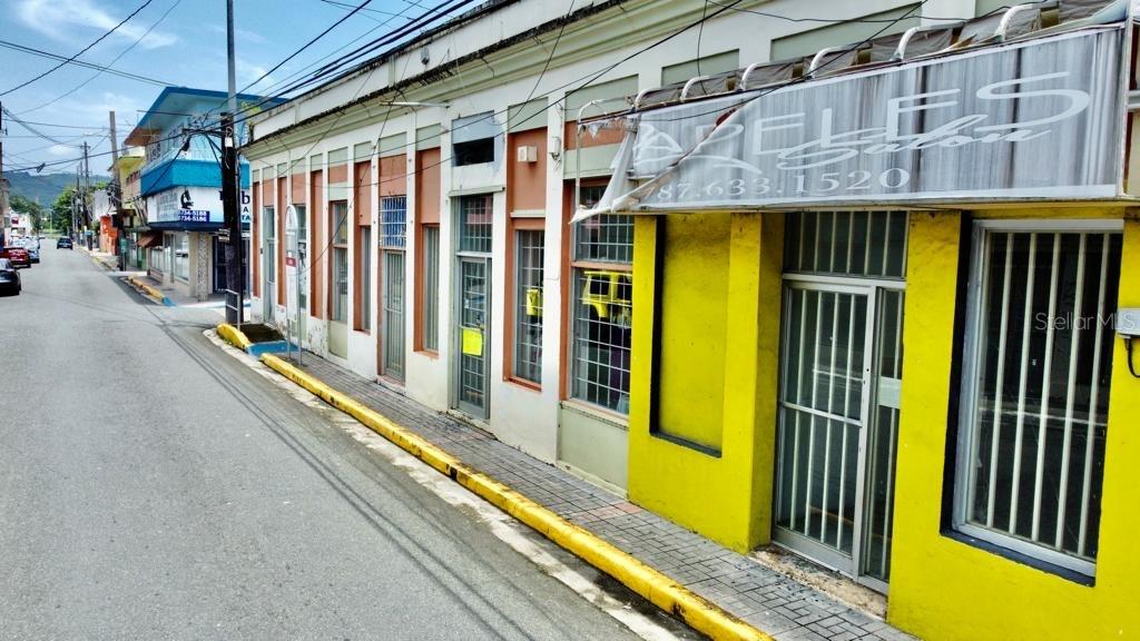 JUNCOS — foto 5
