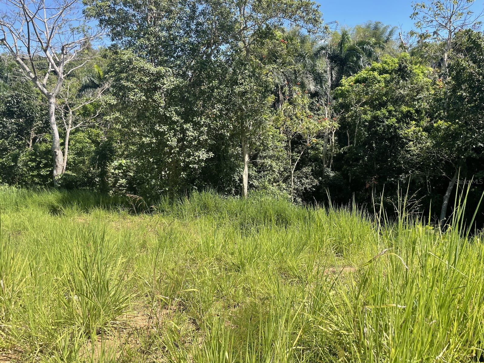 CAGUAS — foto 12