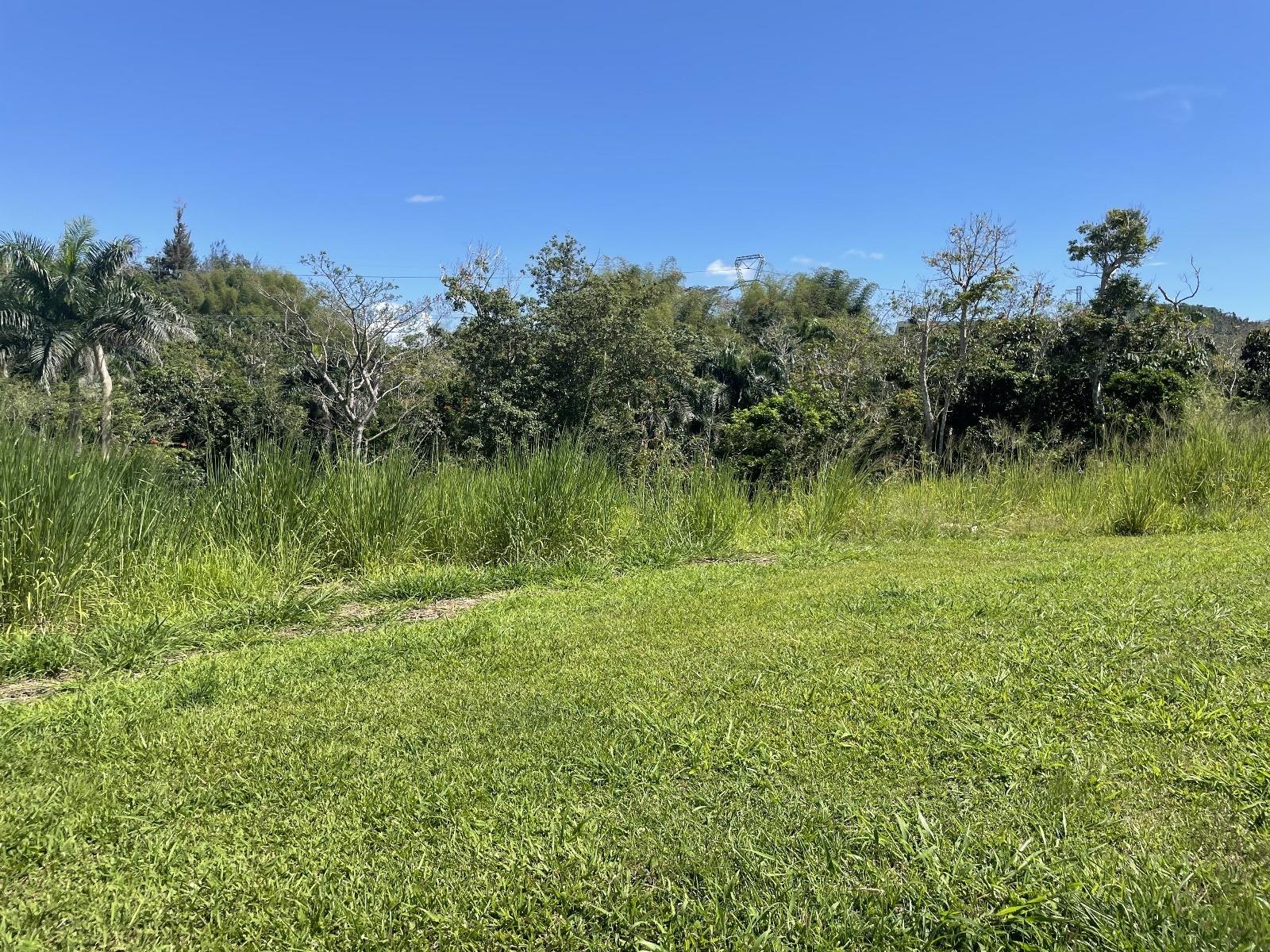 CAGUAS — foto 4