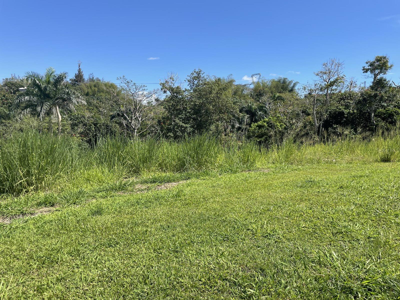 CAGUAS — foto 10