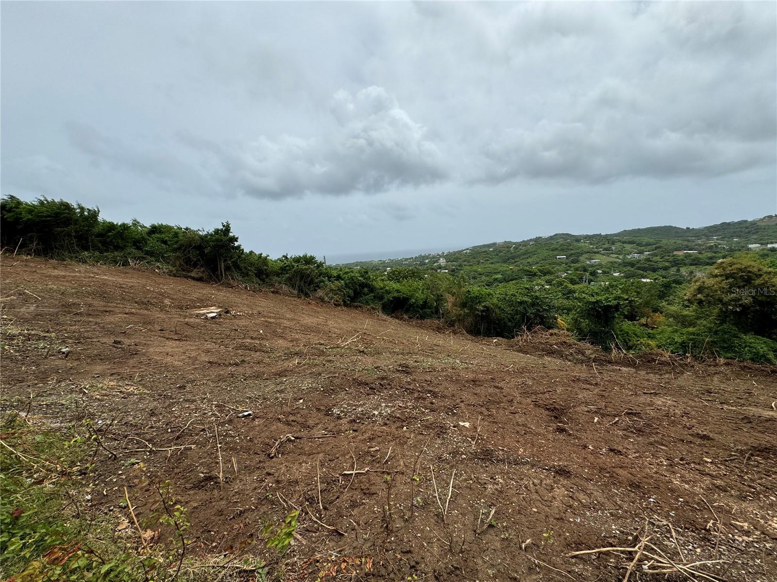 VIEQUES