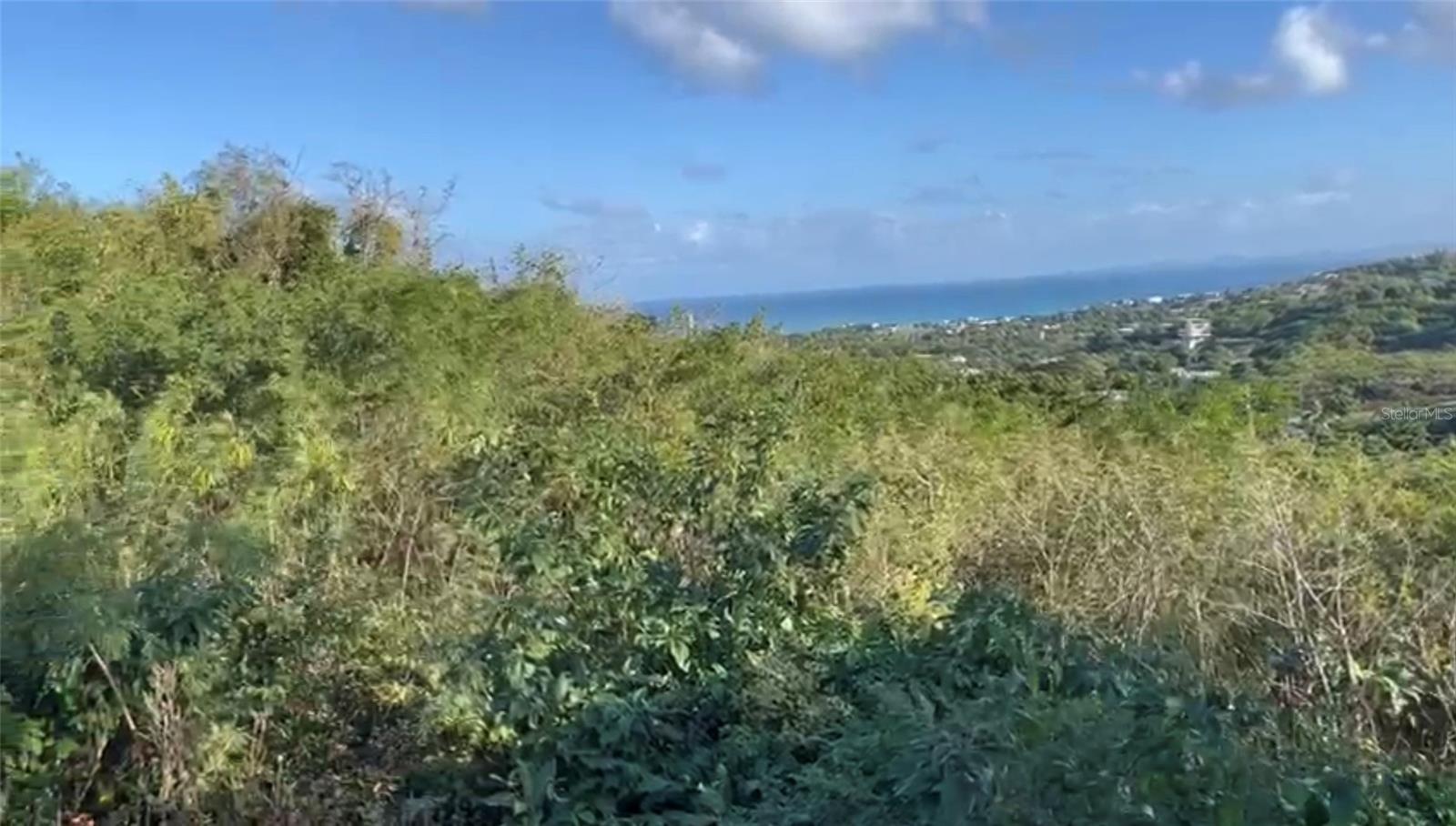 VIEQUES — foto 3
