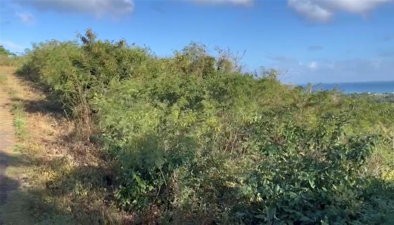VIEQUES — foto 5